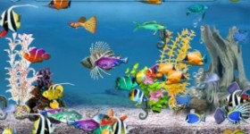 Free iTunes App:  Tap Fish