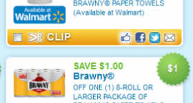 New Brawny Paper Towel Coupons!