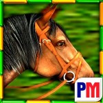 Free Android App: Gallop for Gold Slots
