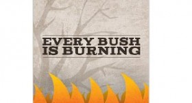 Free Kindle Download: Every Bush is Burning
