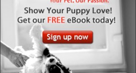 FREE Purina Puppy Love eBook