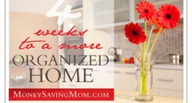 4 Weeks to a More Organized Home {Simplified}: Day 6 Update