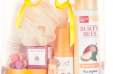 Burt’s Bees Grab Bag for $25 ($50 Value) | $5 Coupon Code + Earn Cash Back