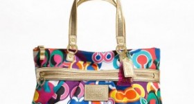 Coach Factory Sale up to 75% off on eBay!!