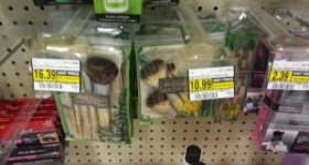 EcoTools at Albertsons as Low as $.19!!!
