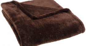 Pinzon 50 by 60-Inch Microtec Throw for $14.99