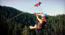 {Shoals} Lark Valley Zip Lines- Halbert Only $29.50/each!