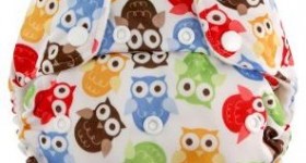 Swaddlebees One Size All In One Diaper just $13.91