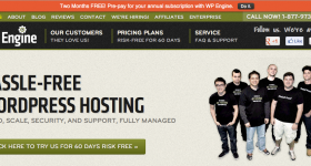 WP Engine Hosting: Finally Our Hosting Nightmare Days Are Over + Hosting Promo Code!