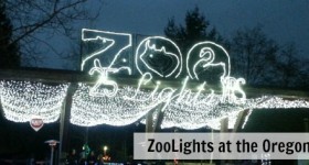 BOGO tickets to ZooLights at the Oregon Zoo tomorrow only (12/11)