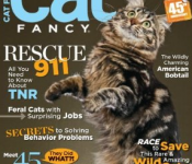 Cat Fancy Magazine Subscription only $7.99 a year (orig. $36)! Great gift!