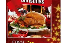 Free ebooks: Easy Christmas Recipes, 15 Preschool Christmas Activities, Leading at a Higher Level, Wildflowers of Terezin