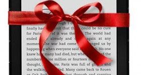 FREE one-day shipping on all Kindles (guaranteed Christmas delivery if you order by Saturday at Noon)