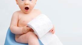 FREE Toilet Paper sent to your home!