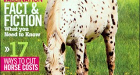 One year subscription to Horse Illustrated magazine for only $4.29