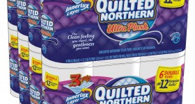 Quilted Northern 48 Double Rolls $22.74 SHIPPED!