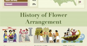 What Makes Flowers So Popular? Infographic