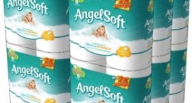 48 Angel Soft Double Rolls for only $20.50 SHIPPED = $.21/Single Roll!