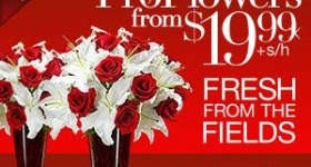 Bouquet of Flowers + Vase only $19.99 from Pro Flowers!