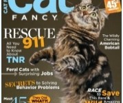 Cat Fancy Magazine | Subsribe for $5.89