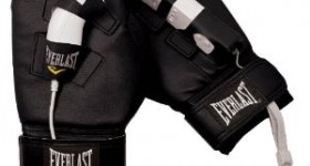 Everlast Boxing Gloves for Wii only $8.99 (Reg. $12.99)