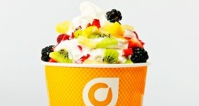 Orange Leaf Ounce Back Program + Free Froyo Coupon on 1/22