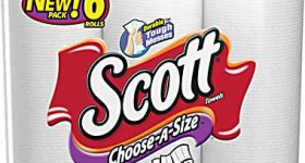 Scott Choose-A-Size Paper Towels (6 ct.): $3.99