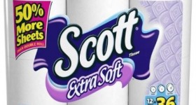 Scott Paper Towels for $.48 per huge roll shipped!