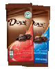 $1.00 off Two (2) DOVE Chocolate Large Bars