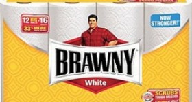 12 Big Rolls of Brawny Paper Towels for $10.99 Shipped
