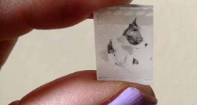 Do It Yourself PHOTO Shrinky Dinks!