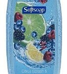 Dollar Tree: Softsoap Body Wash only $.50
