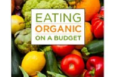 Free ebooks: Eating Organic on a Budget, Freezer Meals, A to Z Guide to Clean Your Home, Toward a New Beginning, plus more!
