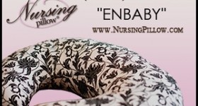 FREE nursing pillow (just pay shipping!)