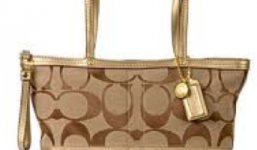New Coach Coupon: 25% Off