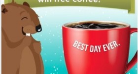 Seattle’s Best Coffee Samples (10,000)