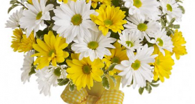 Teleflora.com: Save $10 On All Flower Arrangements