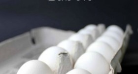 All About Eggs: How to decode egg carton labels