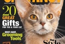 Cat Fancy Magazine Subscription – $5.49/year