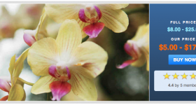 Discount Tickets: The Orchid Show for Up to 30% off!