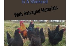 Free ebooks: How to Build a Chicken Coop in a Weekend, How My Soul Yearns, and 50 Superfoods Green Smoothie Recipes