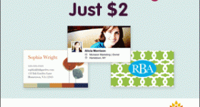 Ink Garden 50 Business Card Magnets $2!