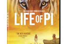 Life of Pi DVD: $13 (57% off)