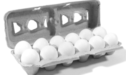 New Egg Coupon – Save $.55/2