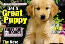 One Year Subscription Dog Fancy $5.49/year