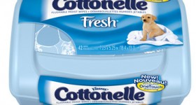 Walgreens: Free Cottonelle Flushable Wipes