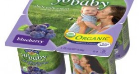 Walmart: YoToddler Yogurt $1.53