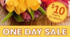 Whole Foods: 3 bunches of Tulips only $10 (30 stems!) Friday 3/8 ONLY