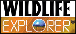 Wildlife Explorer Kit $5.95! ($82.95 Value)