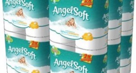 Angel Soft Double Roll Toilet Paper (48 ct.): $20.50 + FREE Shipping